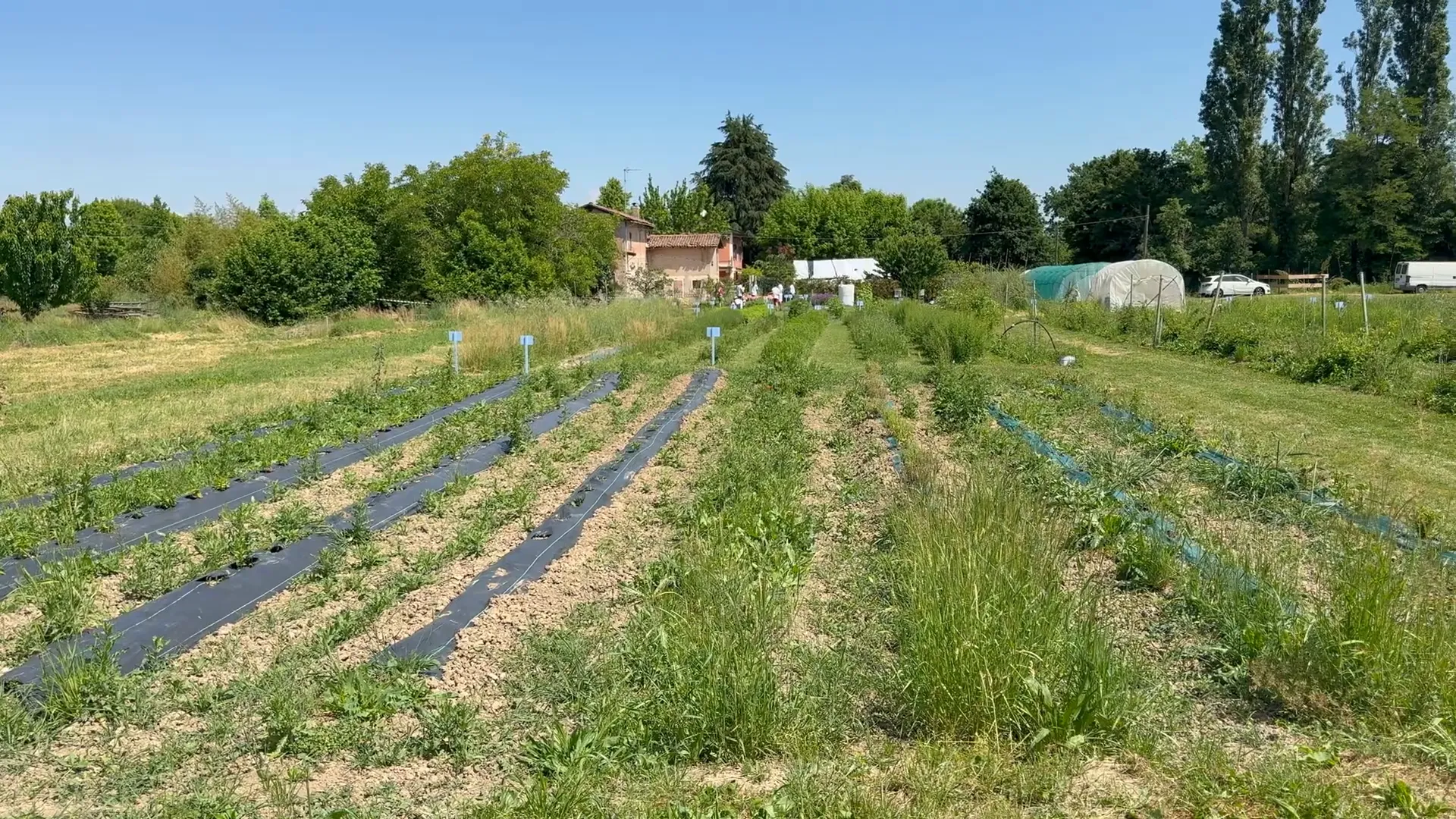 Orto urbano MontagnaInCittà