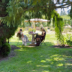 La nuova funzione per rimuovere condòmini: come e perché | Arboretum in Slovenia | CondoPodcast 436