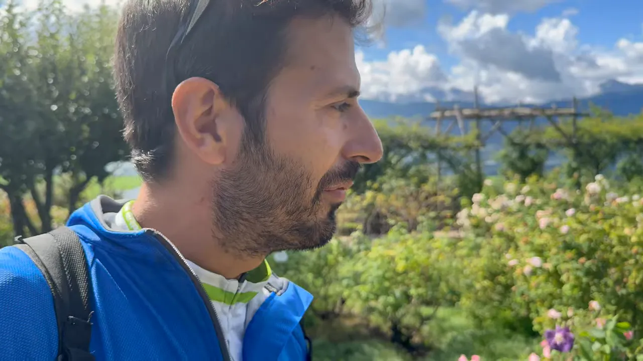 Primo piano di una rosa con sfondo sfocato