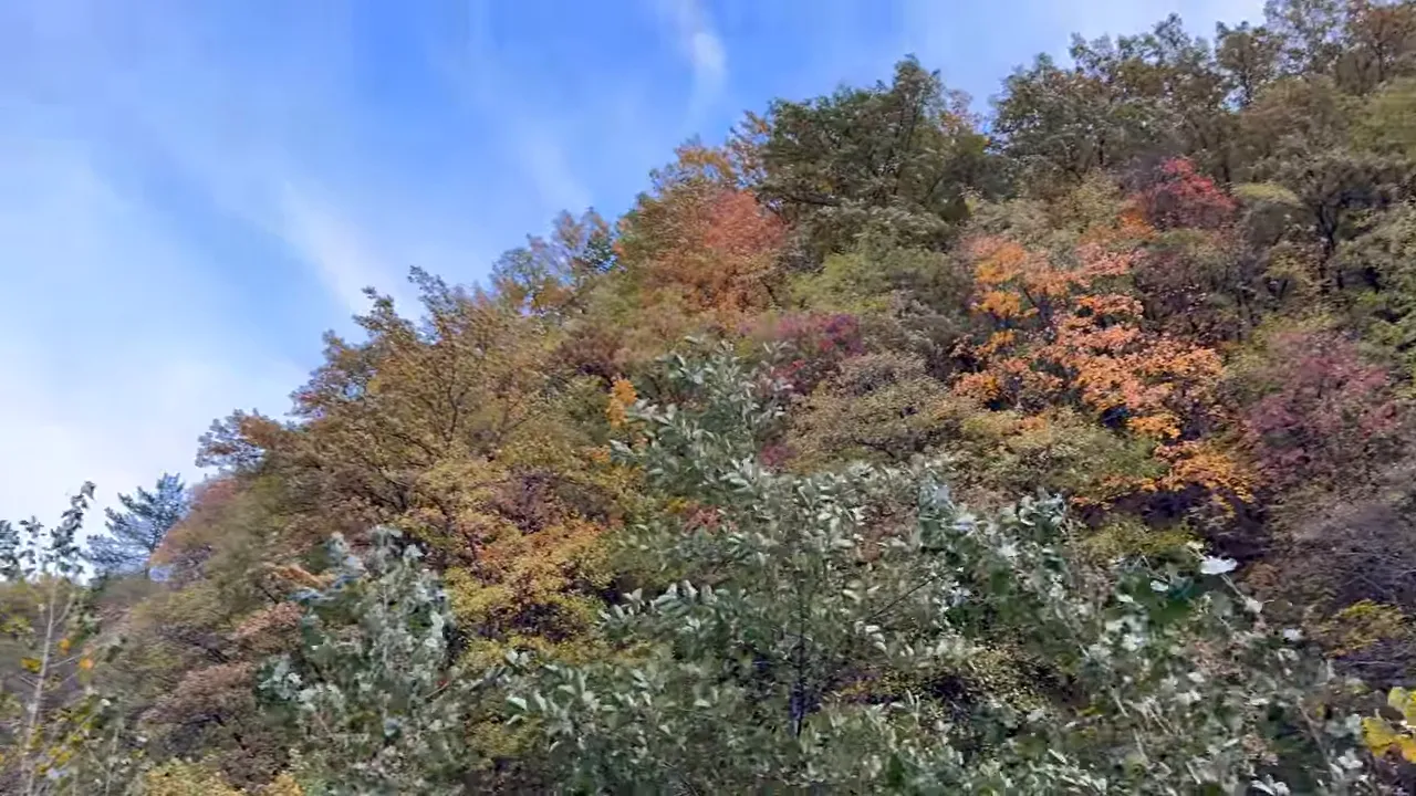 panorama di collina con alberi dai colori autunnali e cielo azzurro a Bagno di Romagna